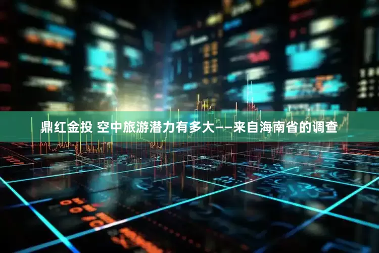 鼎红金投 空中旅游潜力有多大——来自海南省的调查