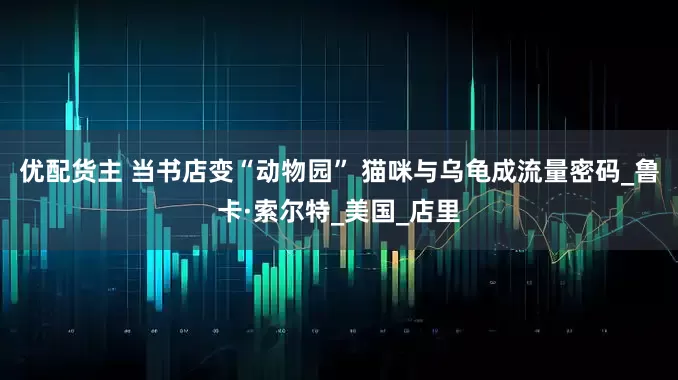 优配货主 当书店变“动物园” 猫咪与乌龟成流量密码_鲁卡·索尔特_美国_店里