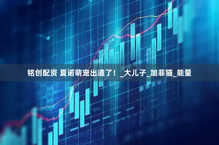 铭创配资 夏诺萌宠出道了！_大儿子_加菲猫_能量