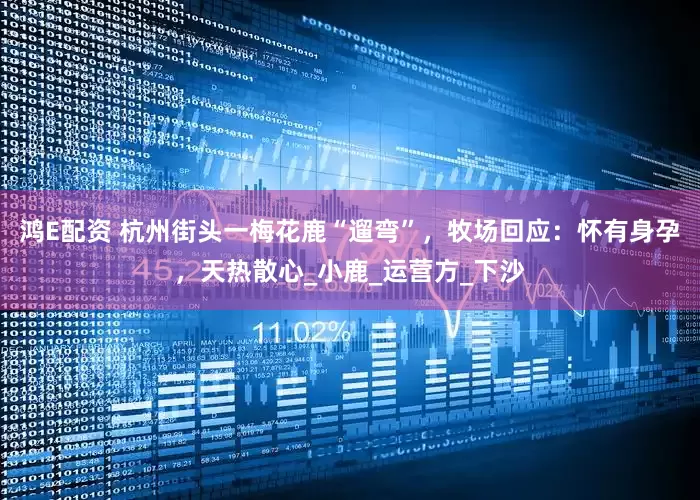 鸿E配资 杭州街头一梅花鹿“遛弯”，牧场回应：怀有身孕，天热散心_小鹿_运营方_下沙