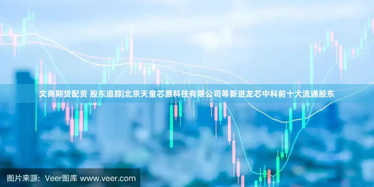 文商期货配资 股东追踪|北京天童芯源科技有限公司等新进龙芯中科前十大流通股东