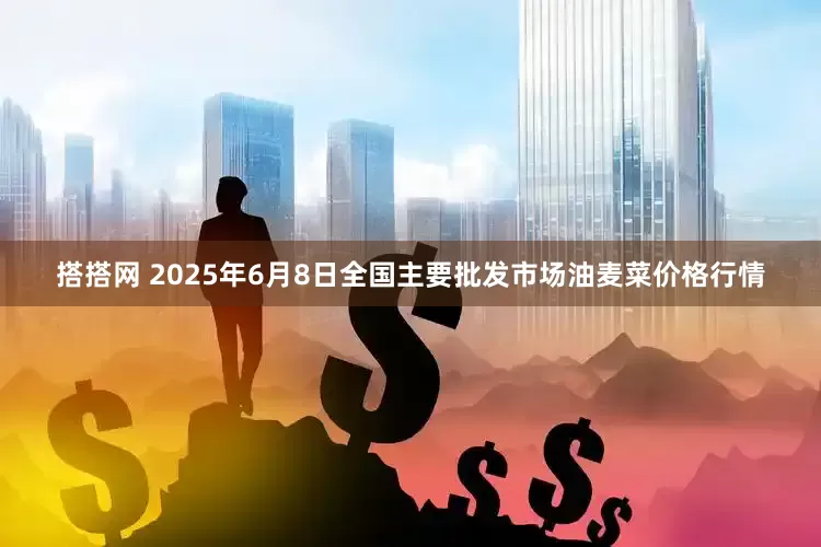 搭搭网 2025年6月8日全国主要批发市场油麦菜价格行情