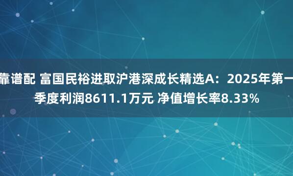 靠谱配 富国民裕进取沪港深成长精选A：2025年第一季度利润8611.1万元 净值增长率8.33%